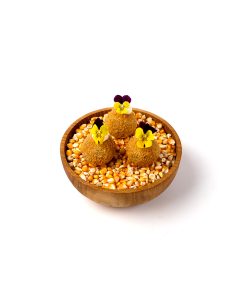 1website Arancini 1