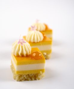 Mango Coconut Mouse Cake 1