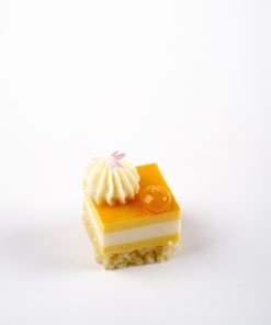 Mango Coconut Mouse Cake2