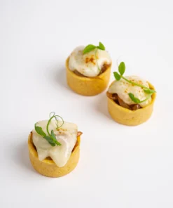 New Probrie & Caramelised Balsamic Onion Tart 3ject