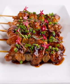Chicken Yakitori 2