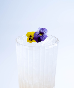 Elderflower Collins 2