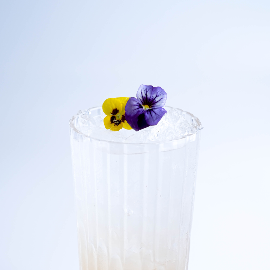 Elderflower Collins 2
