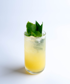 Tropical Punch 1