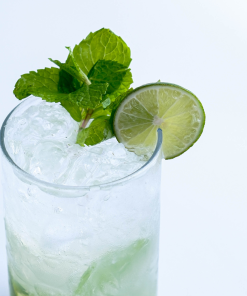 Virgin Mojito 3