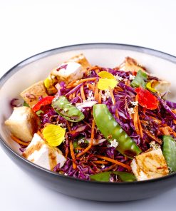 Chinese Tofu Salad Website4 1