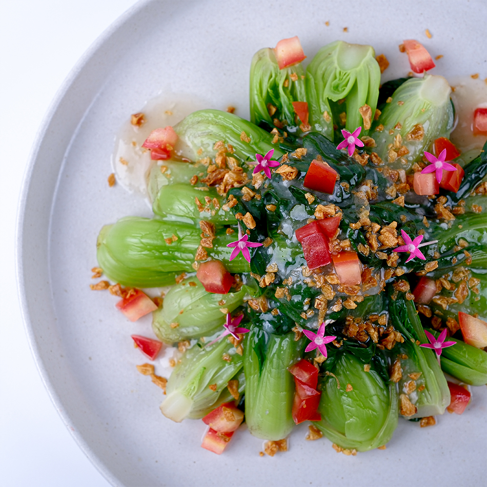 Website Bok Choy3 2
