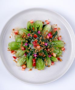 Website Bok Choy4 1
