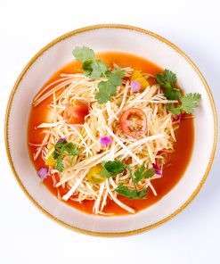 Website Mango Papay Salad3 2