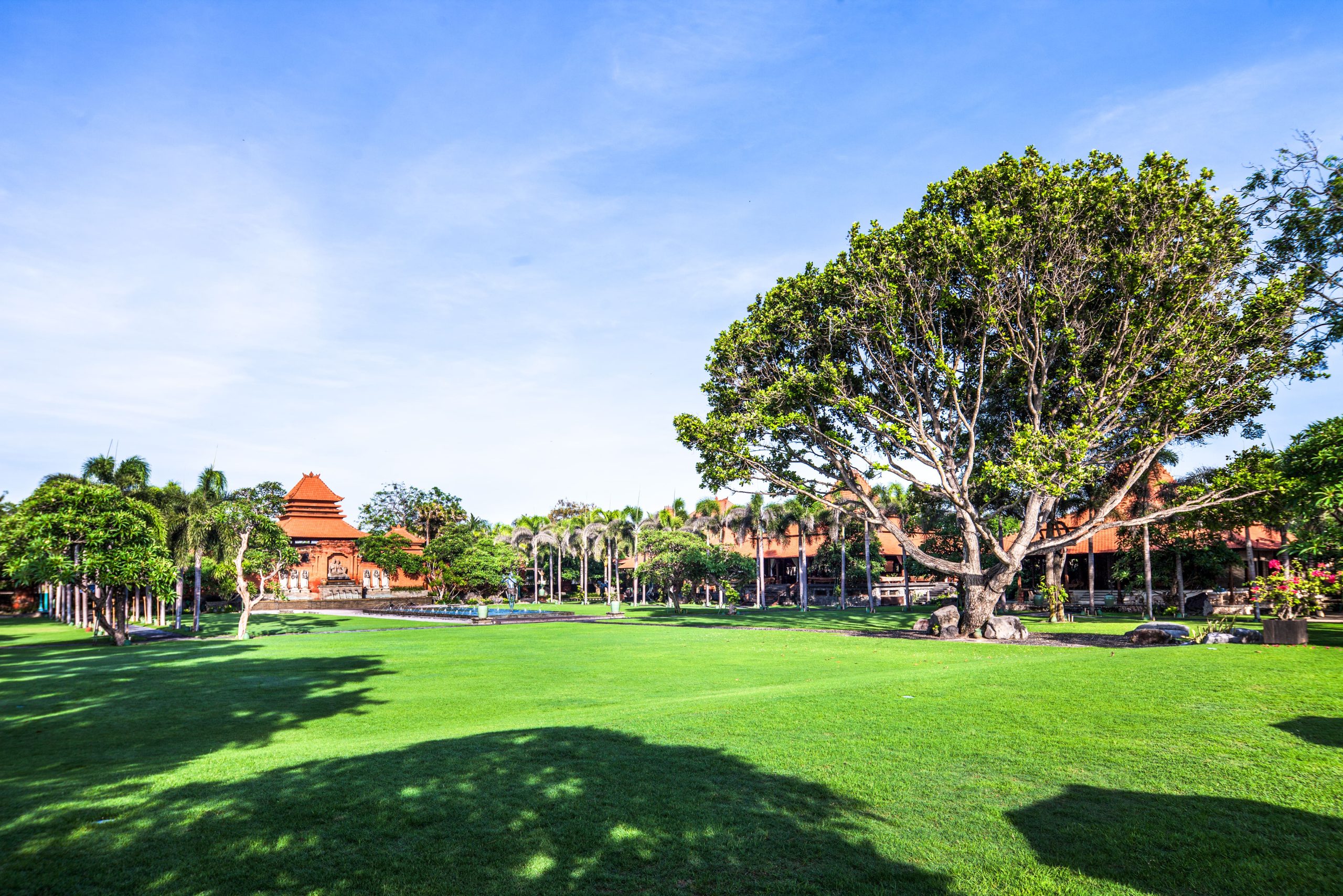 Main Lawn