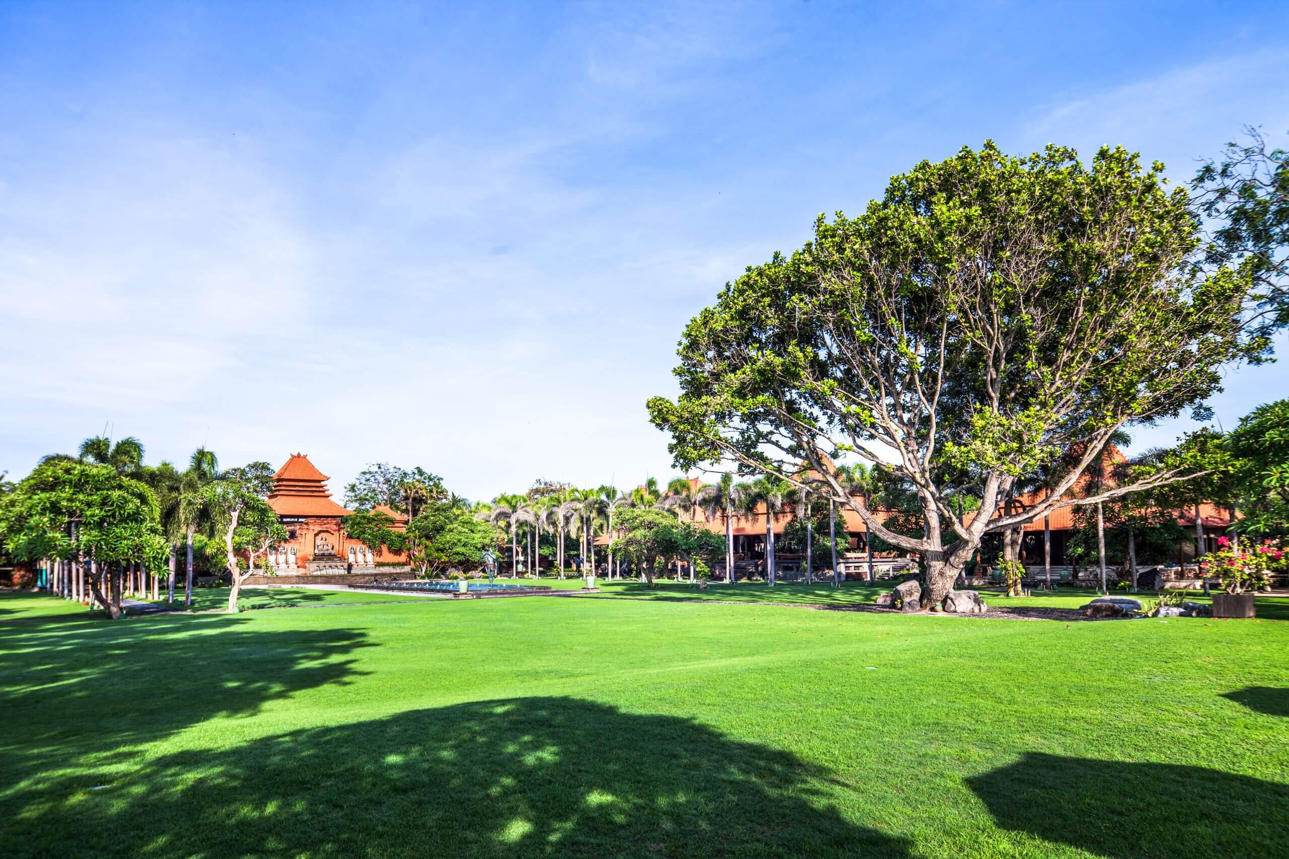 Main Lawn2