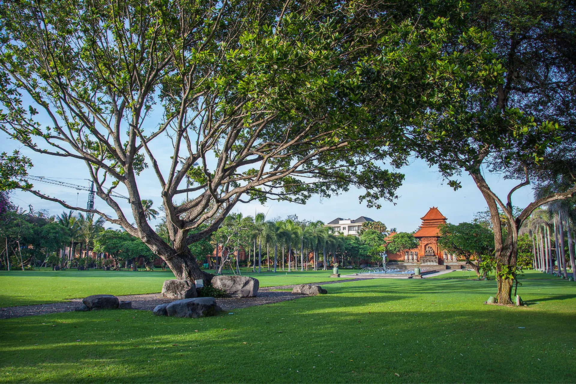 North Lawn
