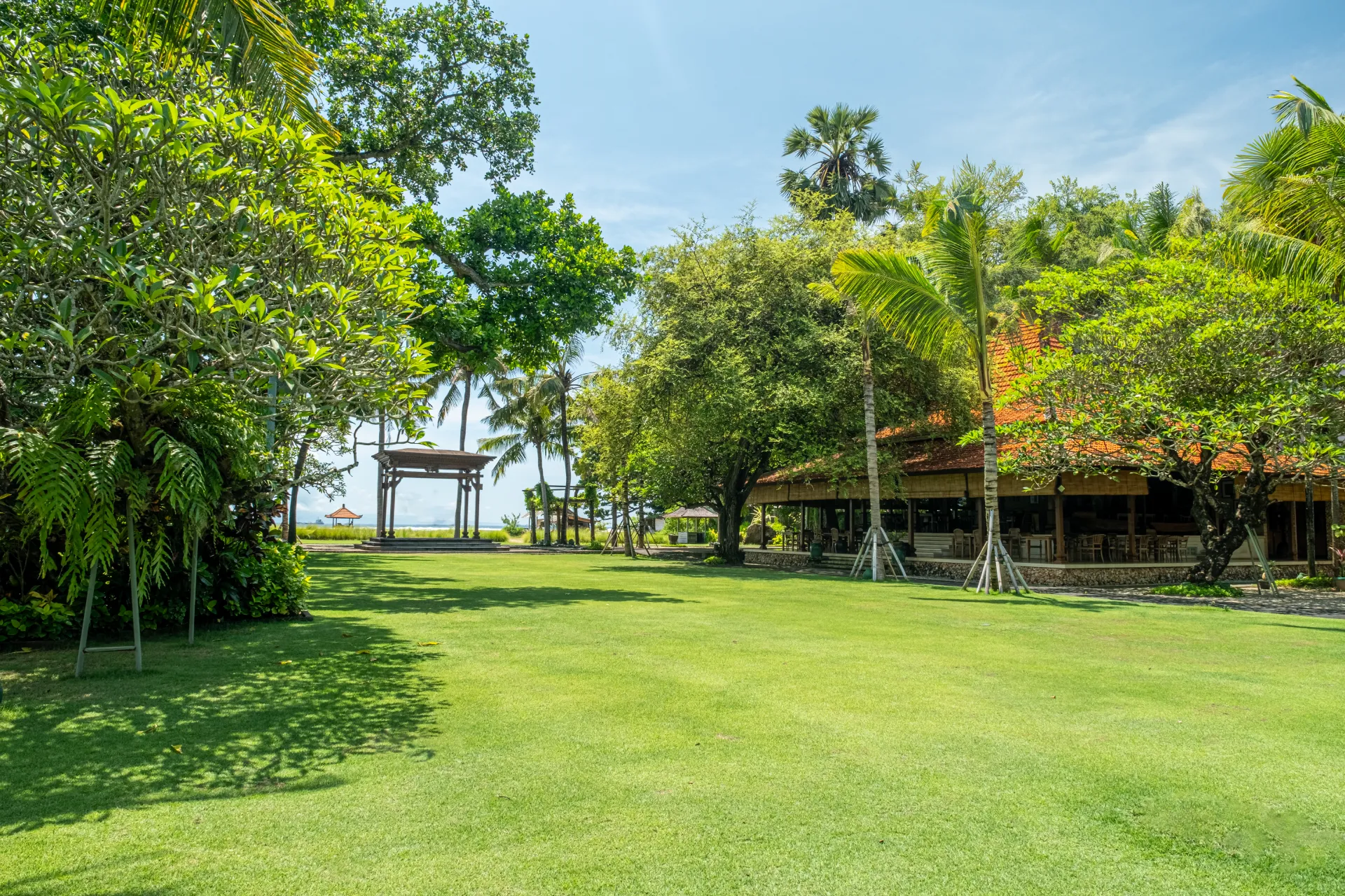 Paon Lawn Images